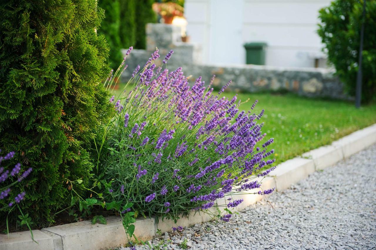 Lake House Sand Ohrida Exterior foto